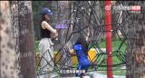 高圆圆素颜陪女儿在公园玩耍 和孩子一起爬网互动