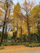 超实用亲子聊天法：帮孩子把 “感觉” 说出来，写作灵感自然来